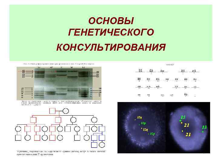 ОСНОВЫ ГЕНЕТИЧЕСКОГО КОНСУЛЬТИРОВАНИЯ 1 