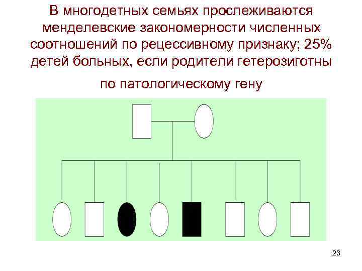 В многодетных семьях прослеживаются менделевские закономерности численных соотношений по рецессивному признаку; 25% детей больных,