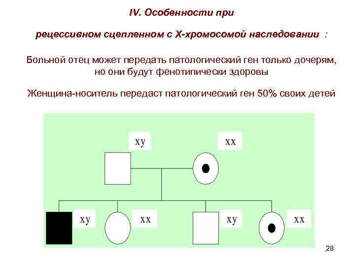 IV. Особенности при рецессивном сцепленном с Х-хромосомой наследовании : Больной отец может передать патологический