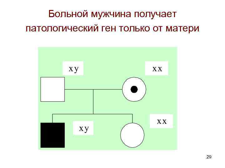 Больной мужчина получает патологический ген только от матери 29 