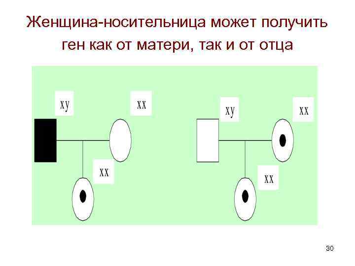 Женщина-носительница может получить ген как от матери, так и от отца 30 