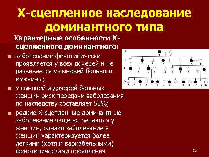 Х-сцепленное наследование доминантного типа Характерные особенности Хсцепленного доминантного: заболевание фенотипически проявляется у всех дочерей