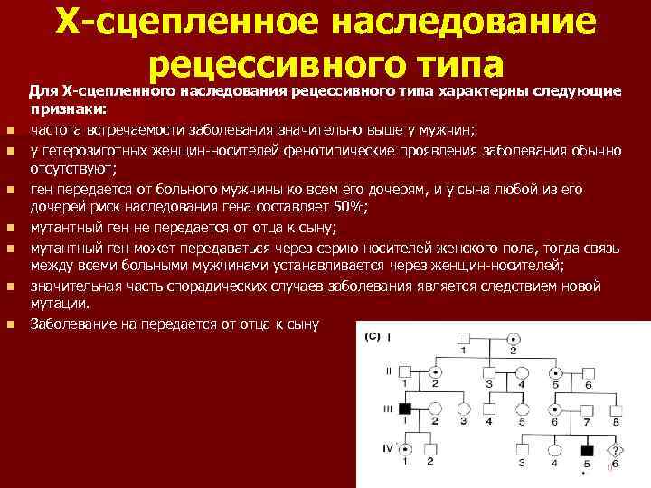 Рецессивные сцепленные с полом гены человека