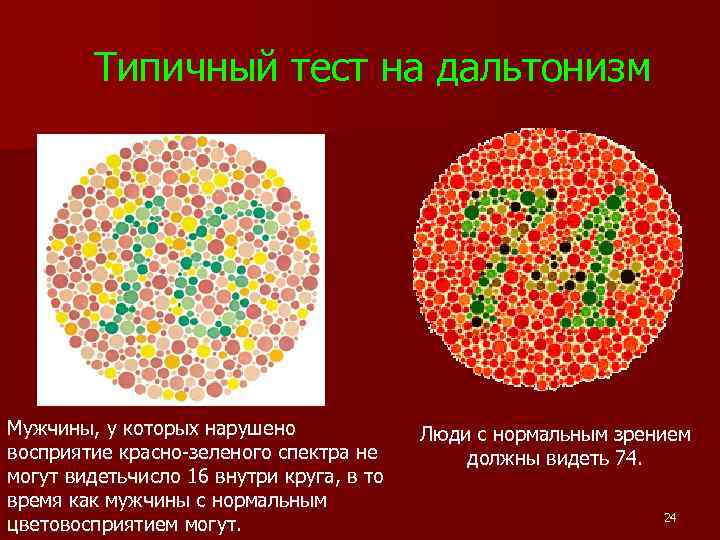  Типичный тест на дальтонизм Мужчины, у которых нарушено восприятие красно-зеленого спектра не могут