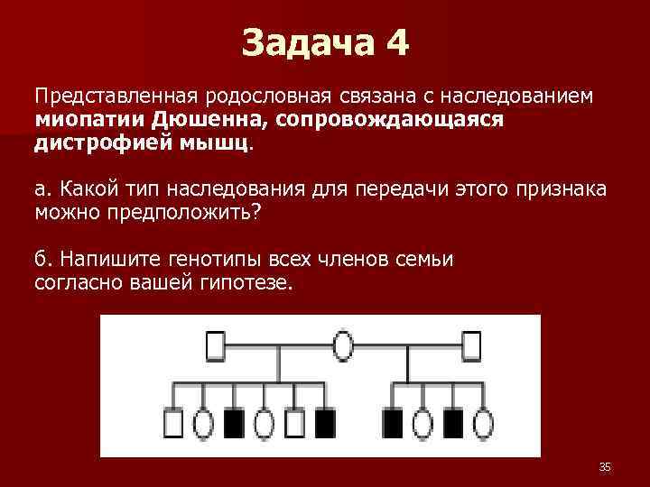 Задача 4 Представленная родословная связана с наследованием миопатии Дюшенна, сопровождающаяся дистрофией мышц. а. Какой