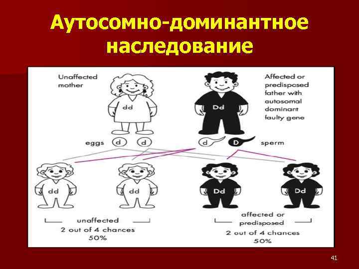 Аутосомно-доминантное наследование 41 