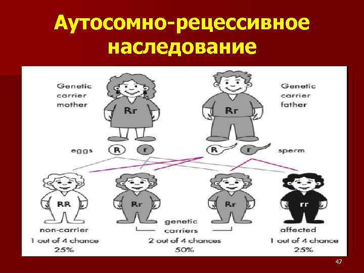 Аутосомно-рецессивное наследование 47 