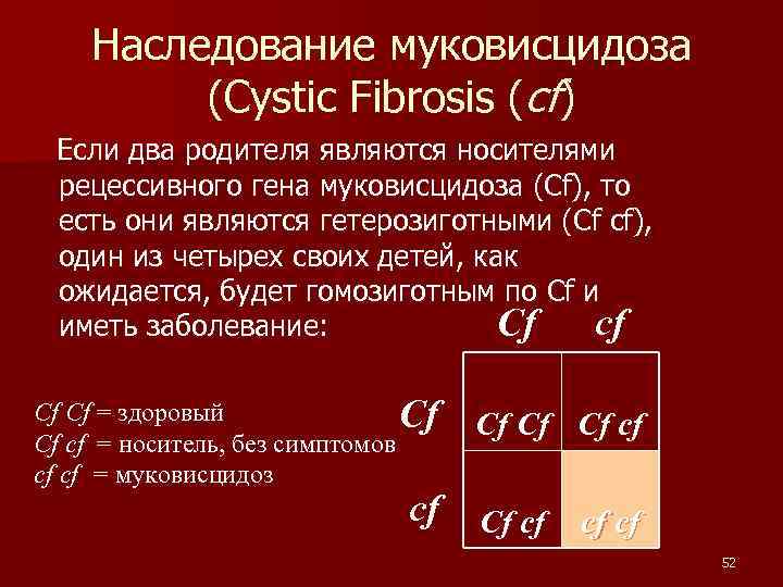 Наследование муковисцидоза (Cystic Fibrosis (cf) Если два родителя являются носителями рецессивного гена муковисцидоза (Cf),