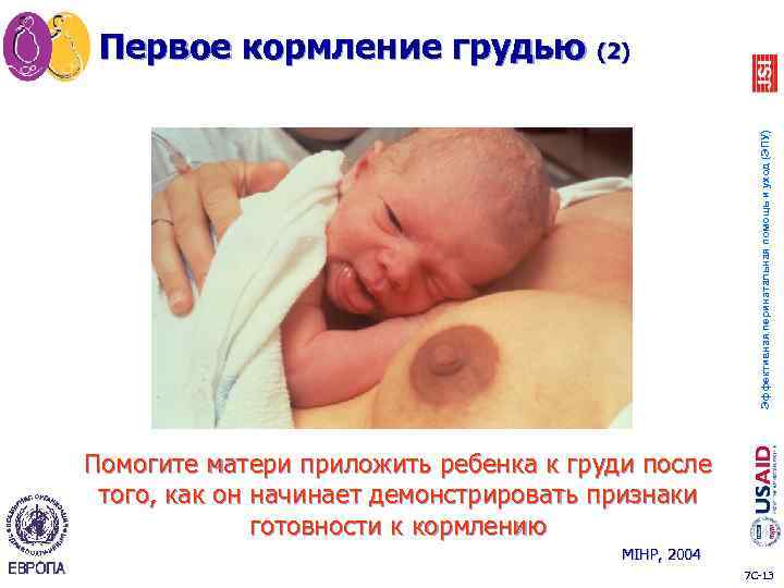 Эффективная перинатальная помощь и уход (ЭПУ) Первое кормление грудью (2) Помогите матери приложить ребенка
