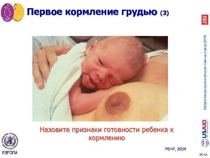 Эффективная перинатальная помощь и уход (ЭПУ) Первое кормление грудью (3) Назовите признаки готовности ребенка