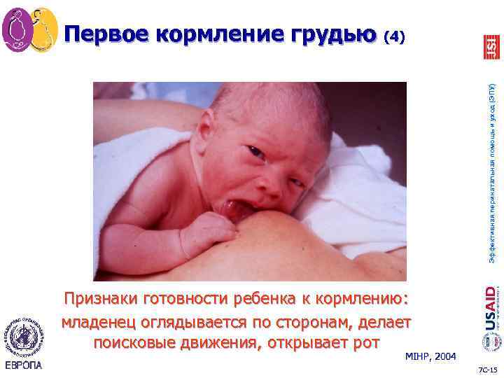 Эффективная перинатальная помощь и уход (ЭПУ) Первое кормление грудью (4) Признаки готовности ребенка к