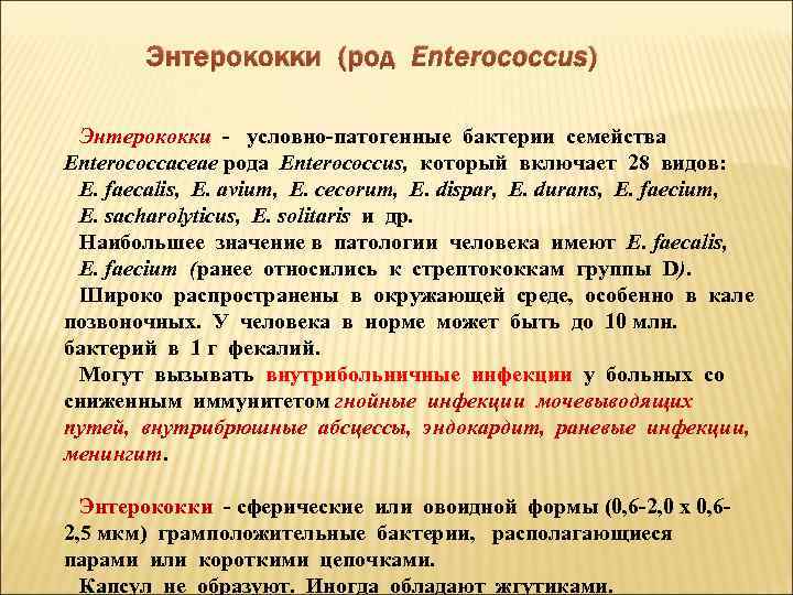 Энтерококки (род Enterococcus) Энтерококки - условно-патогенные бактерии семейства Enterococcaceae рода Enterococcus, который включает 28