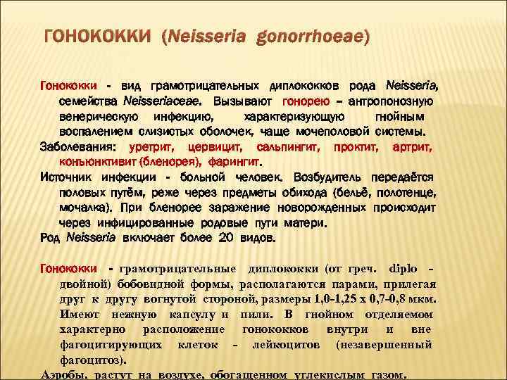 ГОНОКОККИ (Neisseria gonorrhoeae) Гонококки - вид грамотрицательных диплококков рода Neisseria, семейства Neisseriaceae. Вызывают гонорею
