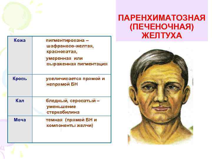 Кожа пигментирована – шафраново-желтая, красноватая, умеренная или выраженная пигментация Кровь увеличивается прямой и непрямой