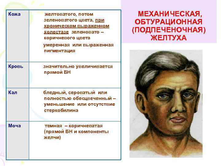 Кожа желтоватого, потом зеленоватого цвета, при хроническом выраженном холестазе зеленовато – коричневого цвета умеренная