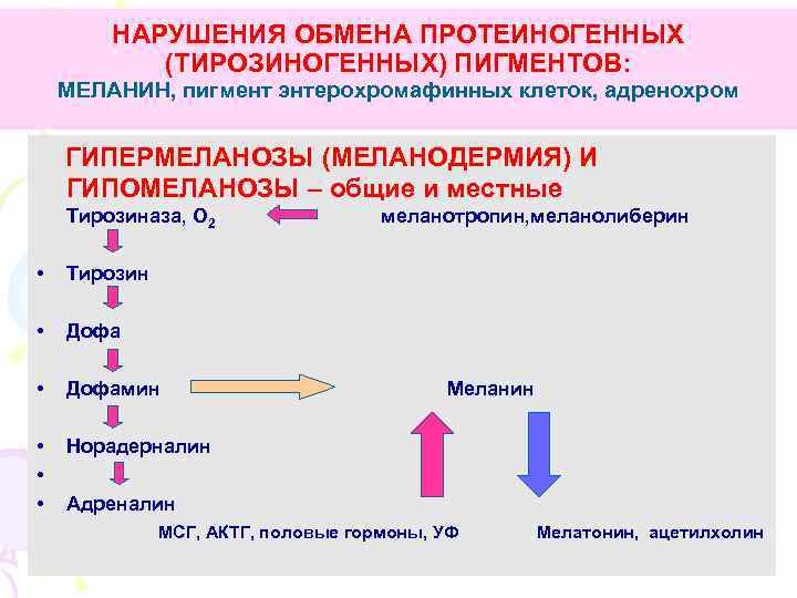НАРУШЕНИЯ ОБМЕНА ПРОТЕИНОГЕННЫХ (ТИРОЗИНОГЕННЫХ) ПИГМЕНТОВ: МЕЛАНИН, пигмент энтерохромафинных клеток, адренохром ГИПЕРМЕЛАНОЗЫ (МЕЛАНОДЕРМИЯ) И ГИПОМЕЛАНОЗЫ