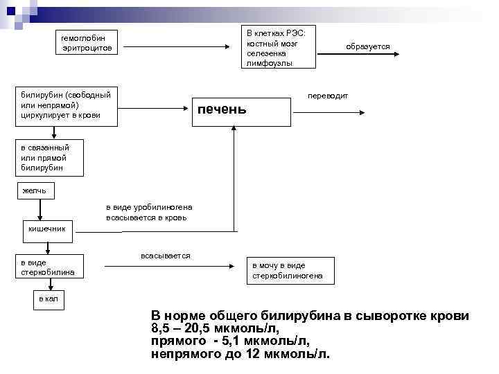  В клетках РЭС: костный мозг селезенка лимфоузлы гемоглобин эритроцитов билирубин (свободный или непрямой)
