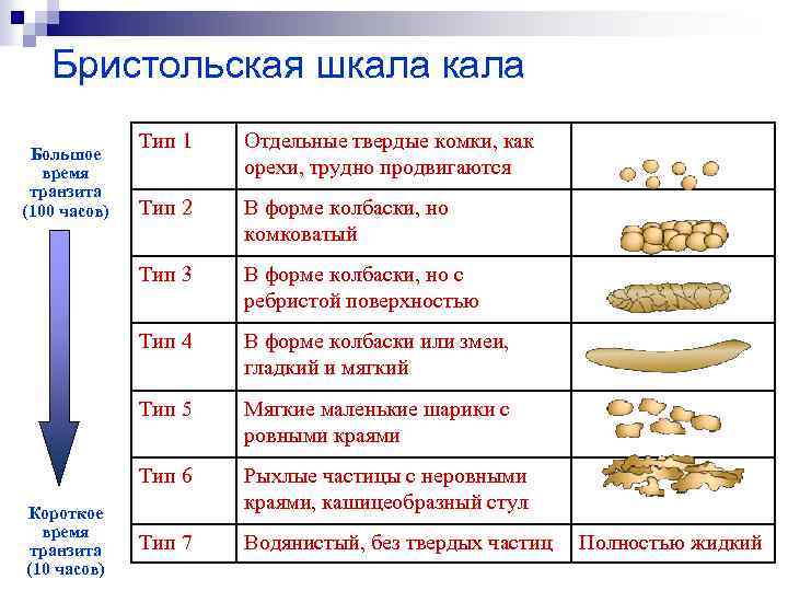 Бристольская шкала Отдельные твердые комки, как орехи, трудно продвигаются Тип 2 В форме колбаски,