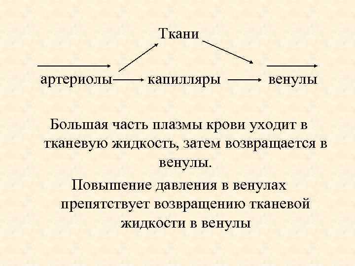 Ткани артериолы капилляры венулы Большая часть плазмы крови уходит в тканевую жидкость, затем возвращается