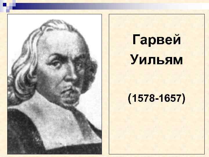 Гарвей Уильям (1578 -1657) 