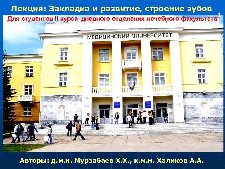 Лекция: Закладка и развитие, строение зубов Для студентов II курса дневного отделения лечебного факультета