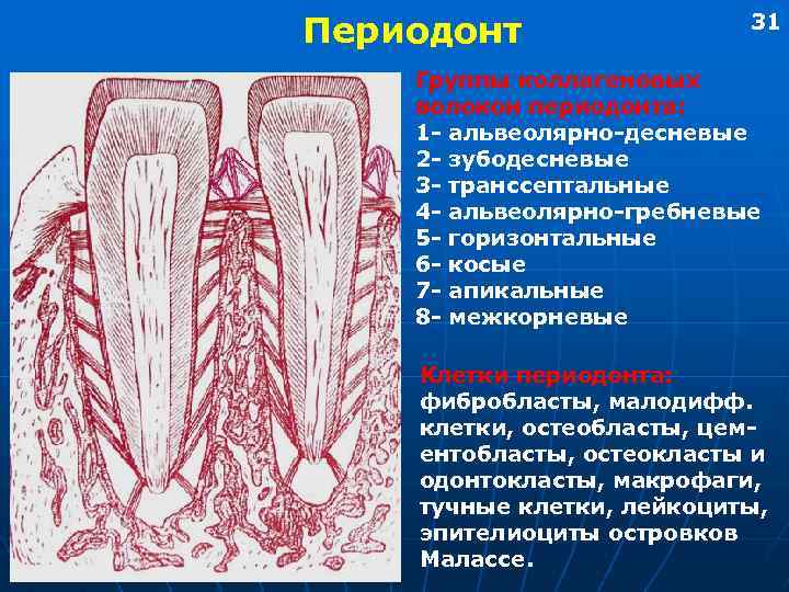 Аксонопатия моторных волокон