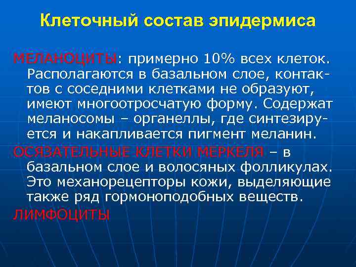 Клеточный состав эпидермиса МЕЛАНОЦИТЫ: примерно 10% всех клеток. Располагаются в базальном слое, контактов с