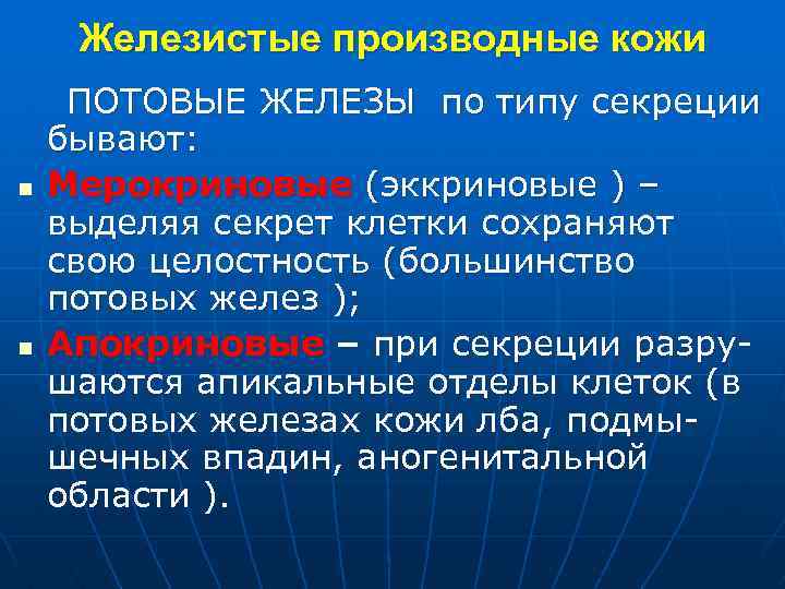 Железистые производные кожи n n ПОТОВЫЕ ЖЕЛЕЗЫ по типу секреции бывают: Мерокриновые (эккриновые )