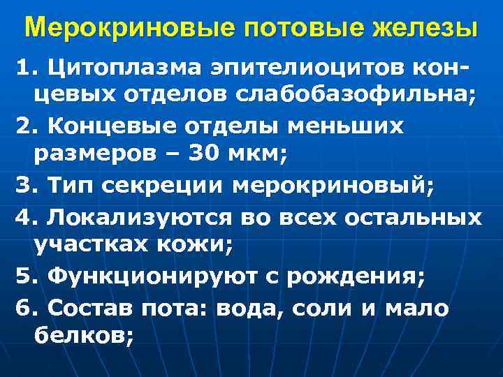 Мерокриновые потовые железы 1. Цитоплазма эпителиоцитов концевых отделов слабобазофильна; 2. Концевые отделы меньших размеров