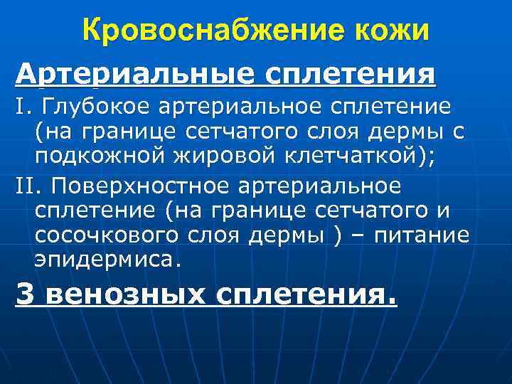 Кровоснабжение кожи Артериальные сплетения I. Глубокое артериальное сплетение (на границе сетчатого слоя дермы с