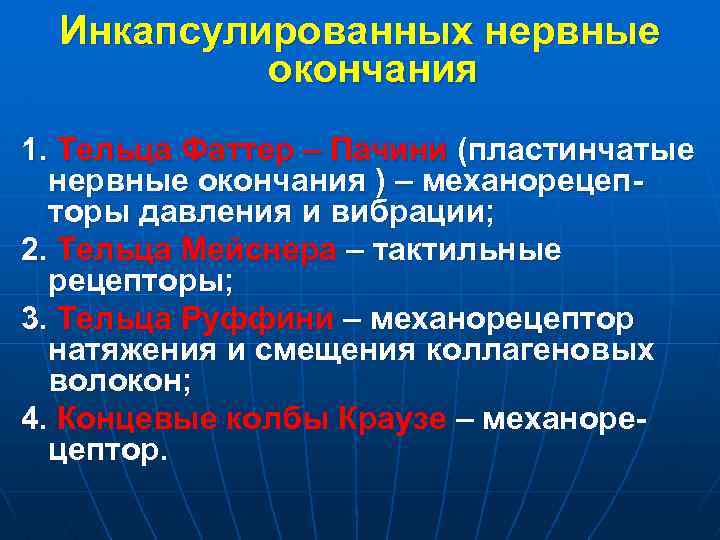 Инкапсулированных нервные окончания 1. Тельца Фаттер – Пачини (пластинчатые нервные окончания ) – механорецепторы