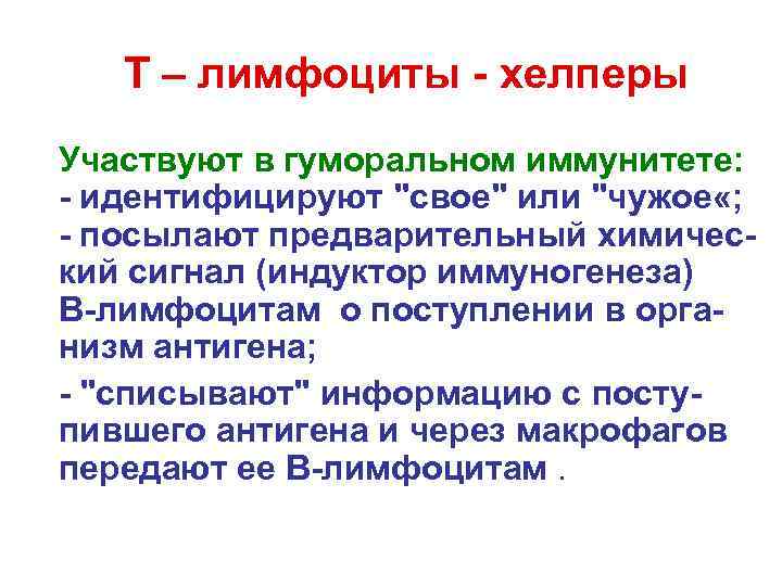 Т – лимфоциты - хелперы Участвуют в гуморальном иммунитете: - идентифицируют 