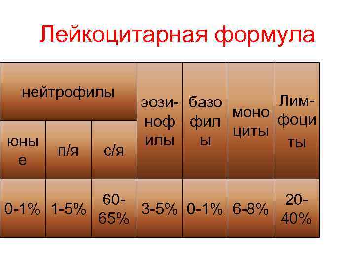 Лейкоцитарная формула нейтрофилы юны е п/я с/я Лимэози- базо моно фоци ноф фил циты