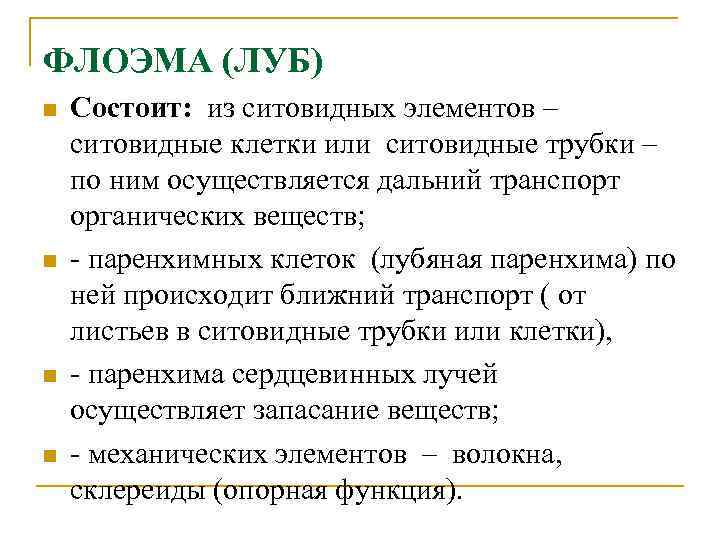 ФЛОЭМА (ЛУБ) n n Состоит: из ситовидных элементов – ситовидные клетки или ситовидные трубки