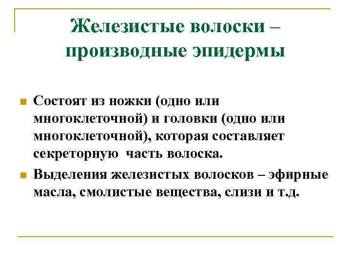 Железистые волоски – производные эпидермы n n Состоят из ножки (одно или многоклеточной) и