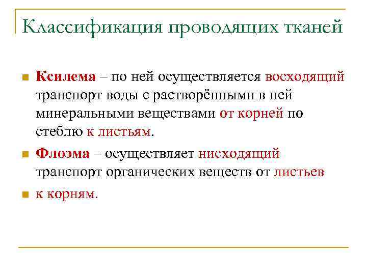 Классификация проводящих тканей n n n Ксилема – по ней осуществляется восходящий транспорт воды