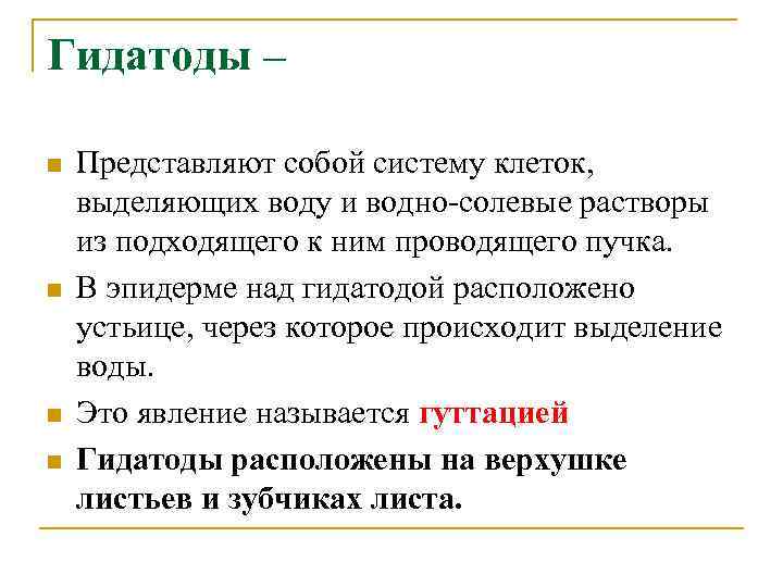 Гидатоды – n n Представляют собой систему клеток, выделяющих воду и водно-солевые растворы из