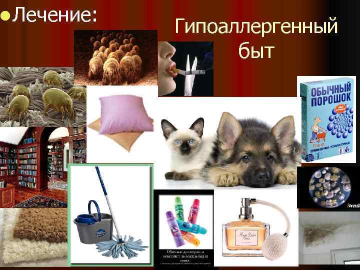 l Лечение: Гипоаллергенный быт 