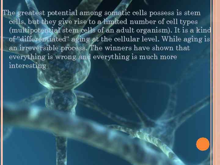 The greatest potential among somatic cells possess is stem cells, but they give rise