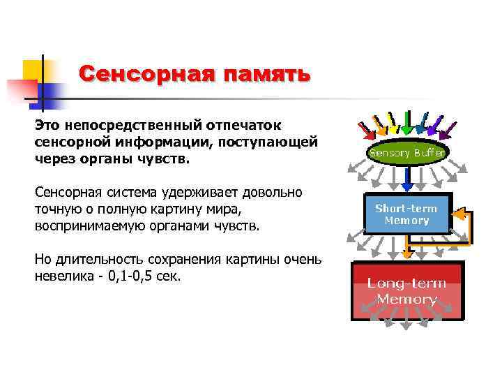 Представления о памяти как структуре оперативная сенсорная кратковременная долговременная