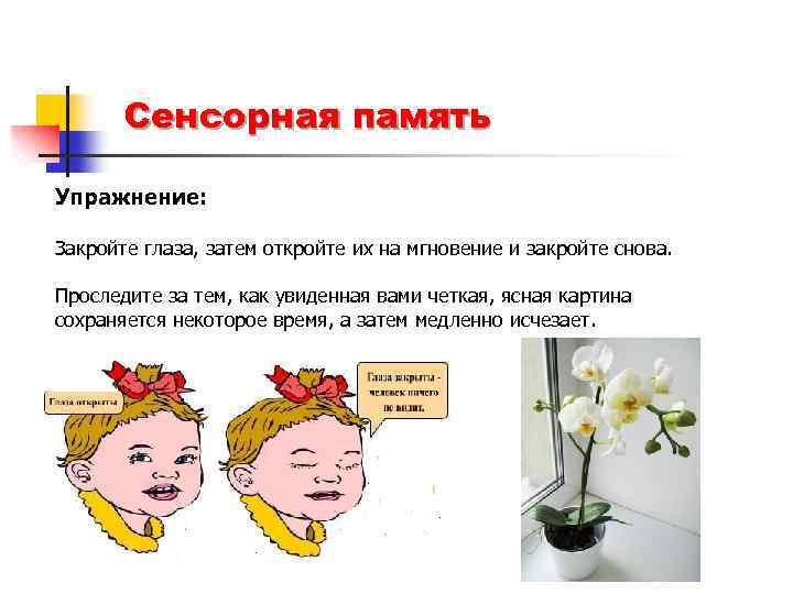 Затем откройте