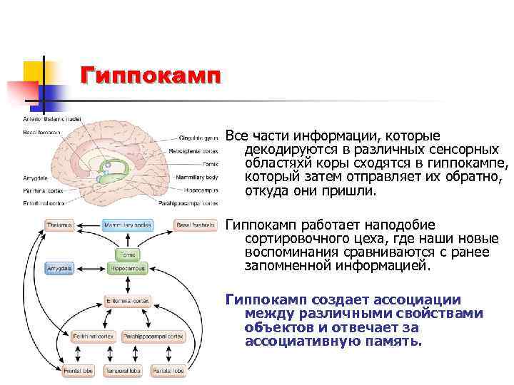 Карта схема психофизиология внимания