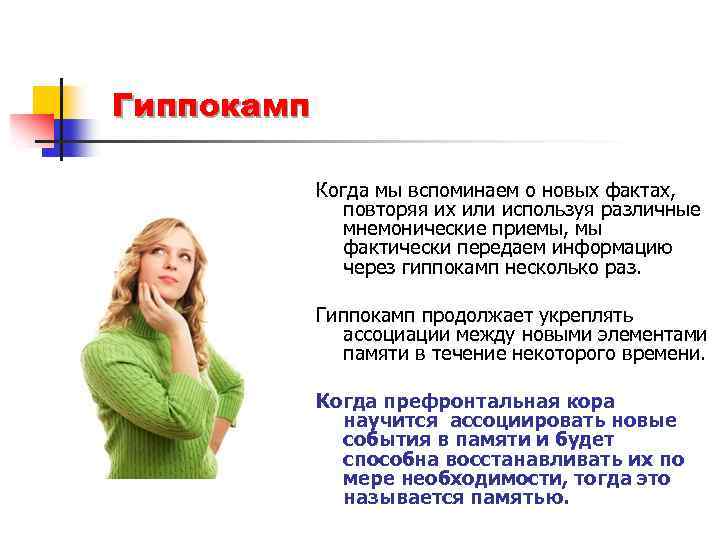 Гиппокамп Когда мы вспоминаем о новых фактах, повторяя их или используя различные мнемонические приемы,