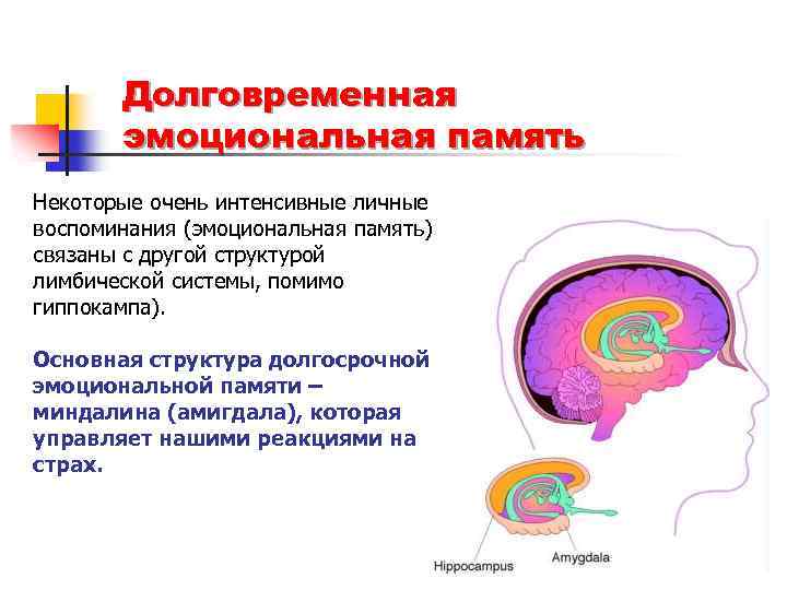 Эмоциональная память это выберите один ответ a запоминание сохранение