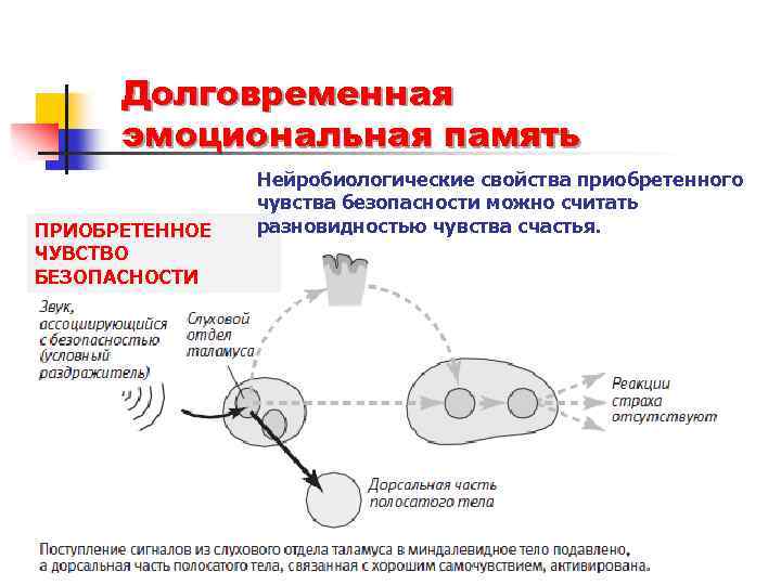 Эмоциональная память это выберите один ответ a запоминание сохранение