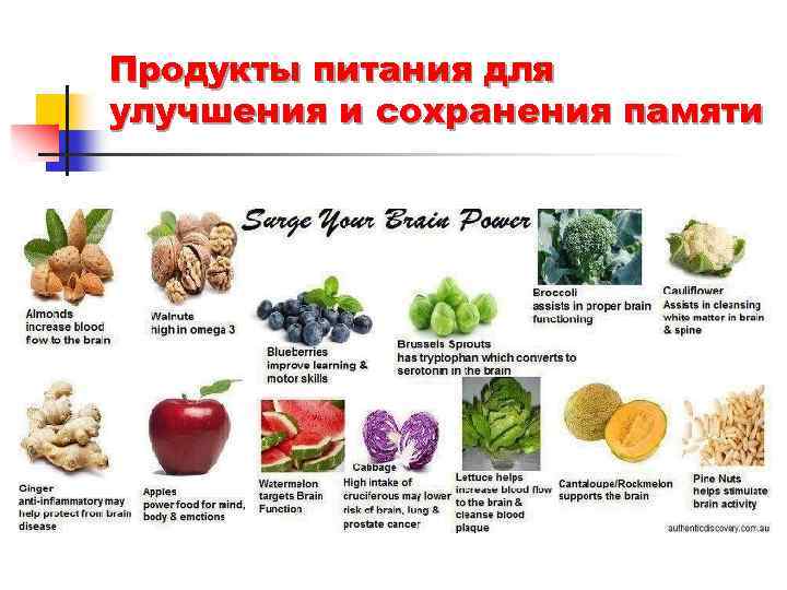 Продукты питания для улучшения и сохранения памяти 