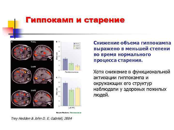 Состав следить