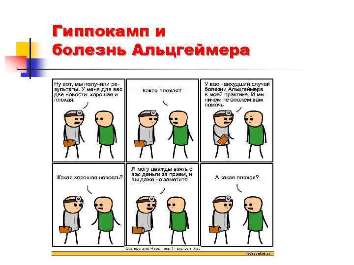 Гиппокамп и болезнь Альцгеймера 