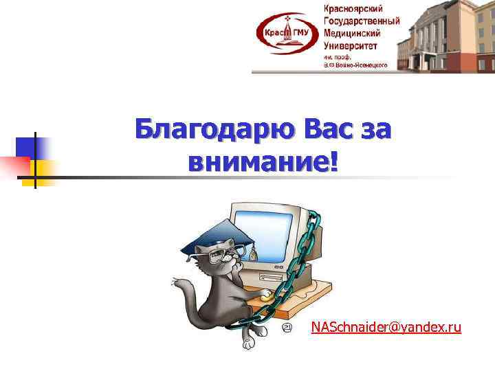 Благодарю Вас за внимание!. NASchnaider@yandex. ru 