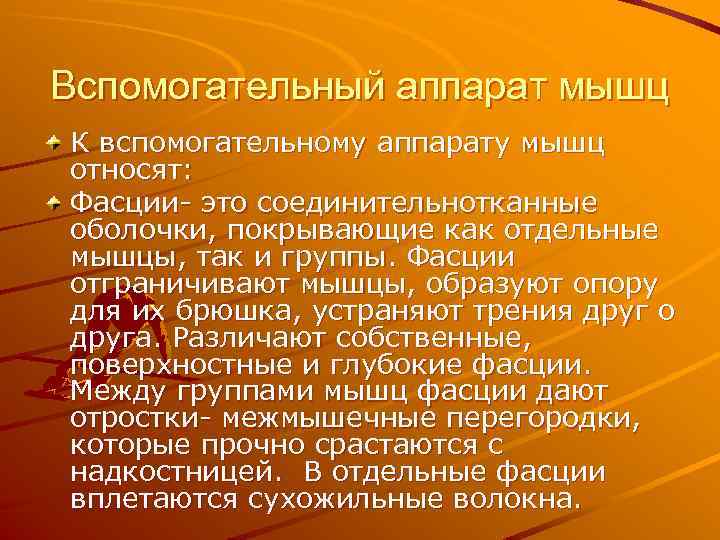 Вспомогательный аппарат мышц К вспомогательному аппарату мышц относят: Фасции- это соединительнотканные оболочки, покрывающие как
